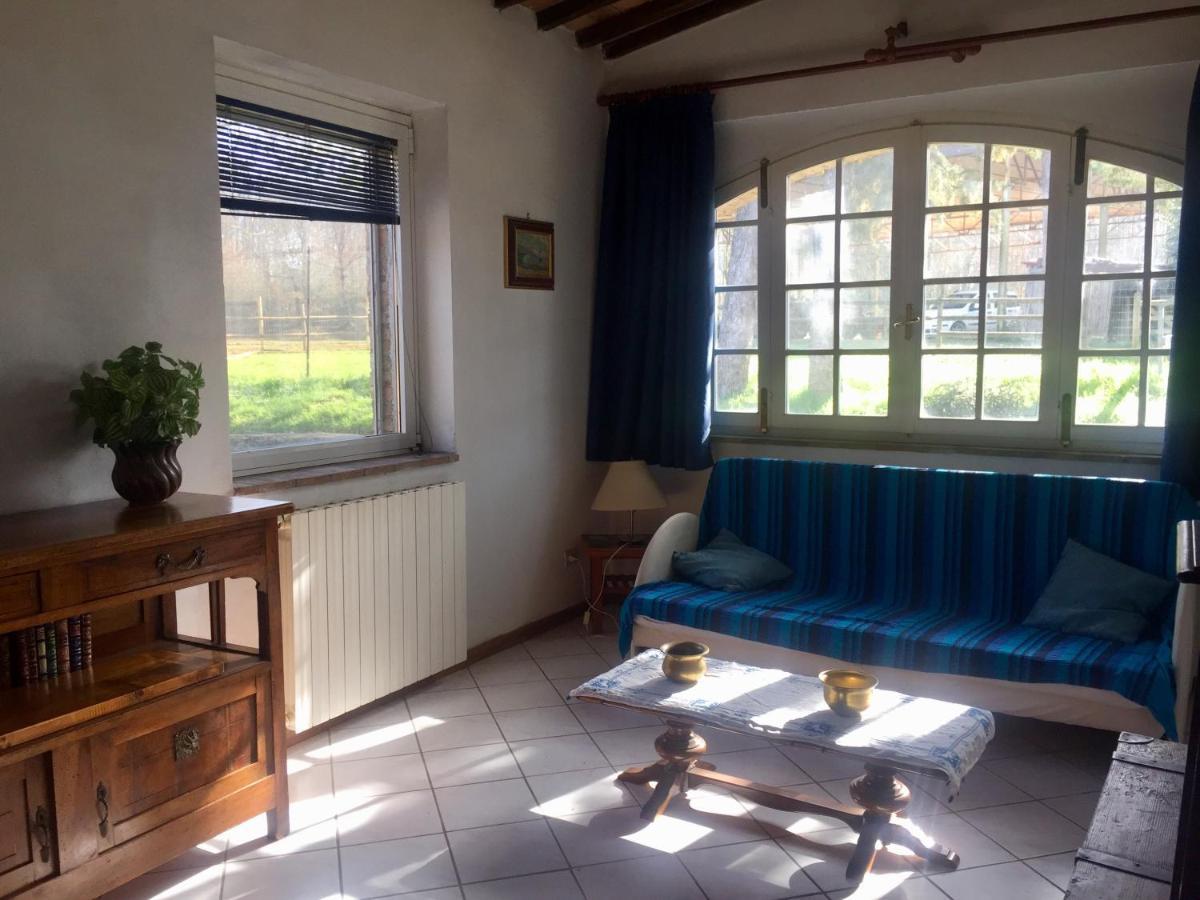 One-Bedroom Apartment Garden View