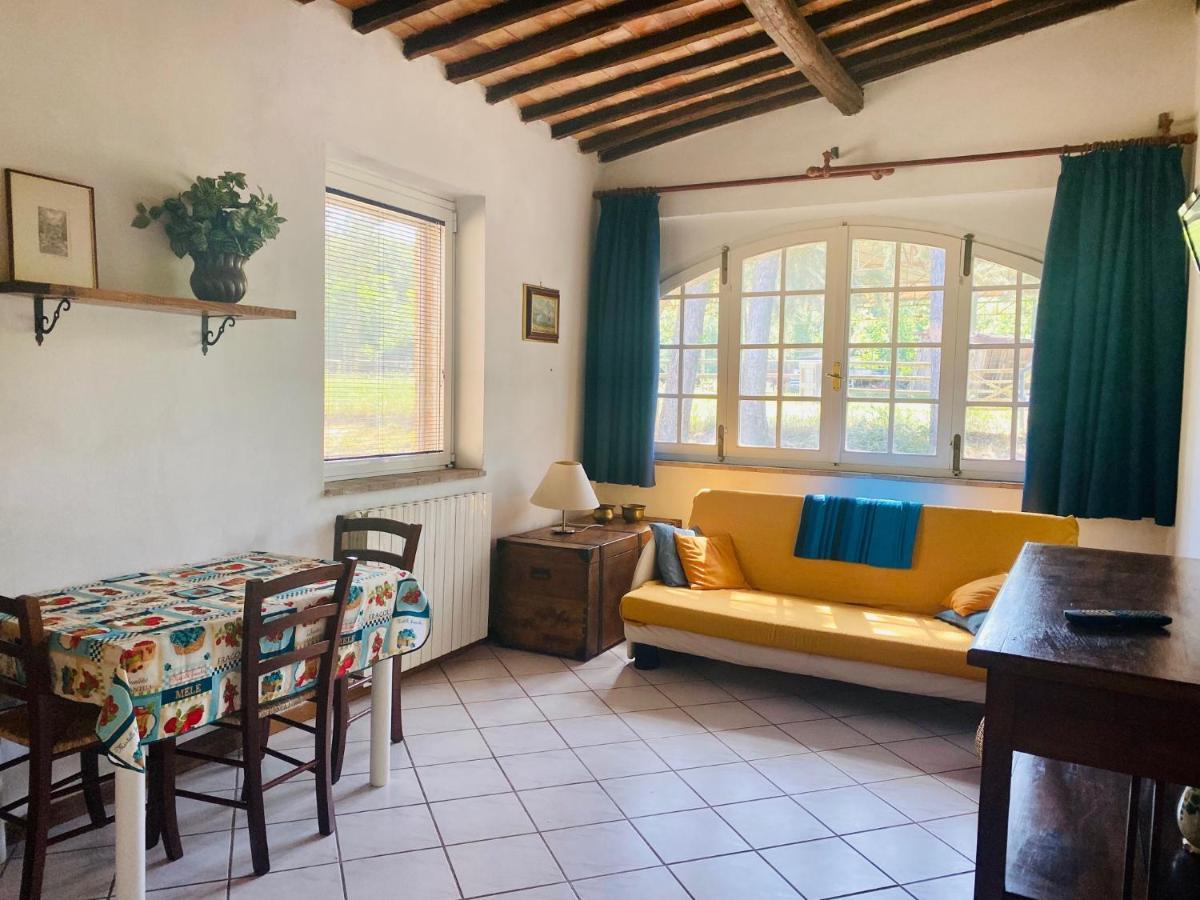 One-Bedroom Apartment Garden View