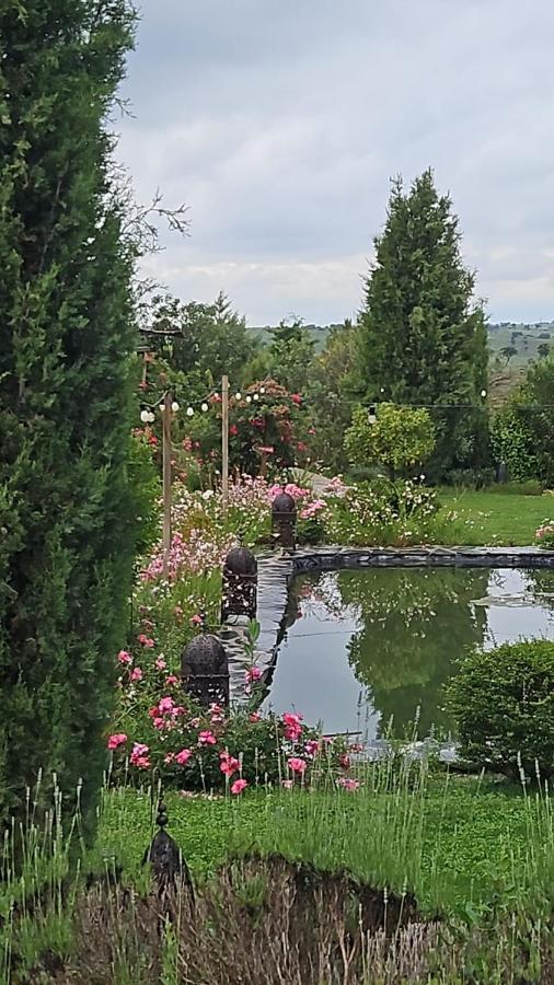 Suite Garden View,1410323780:JPEG