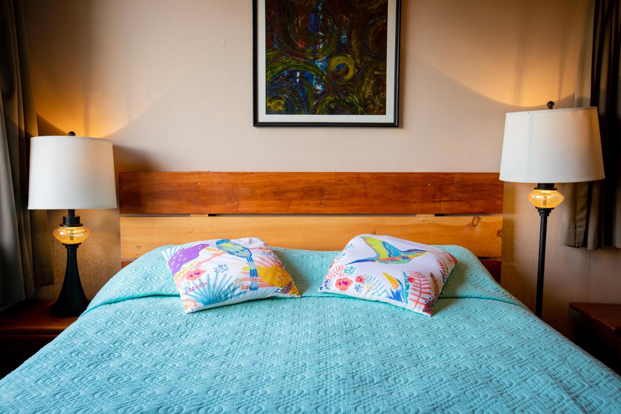 Double Room Mountain View