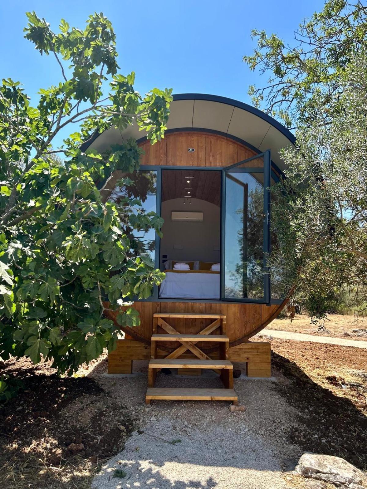 Wine Barrel Room with Vineyard View
