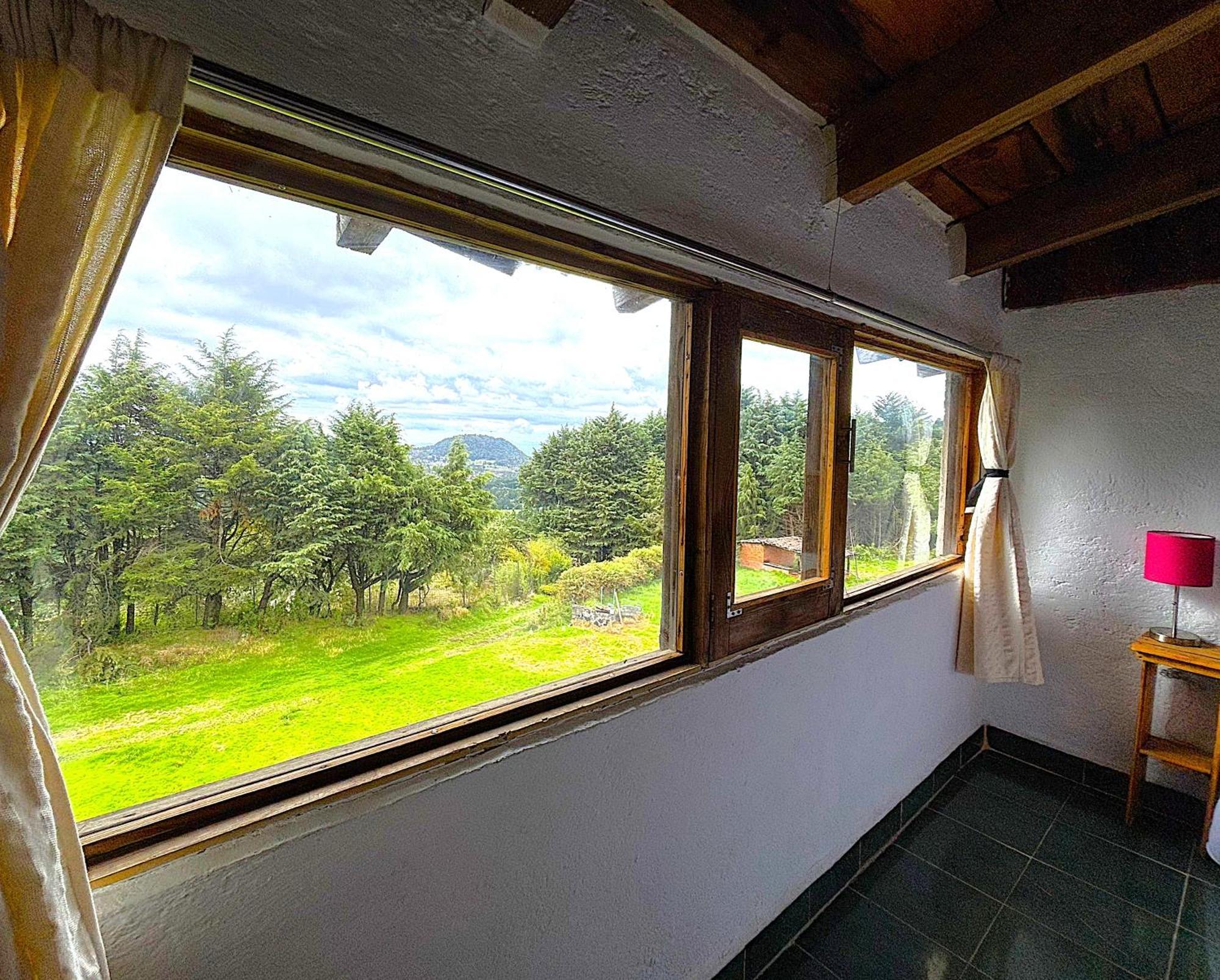 Vierbettzimmer mit Gartenblick