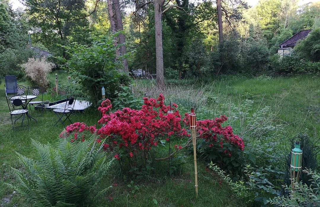Romantisches Kleines Altes Haeuschen Im Zauberwesenwald-1