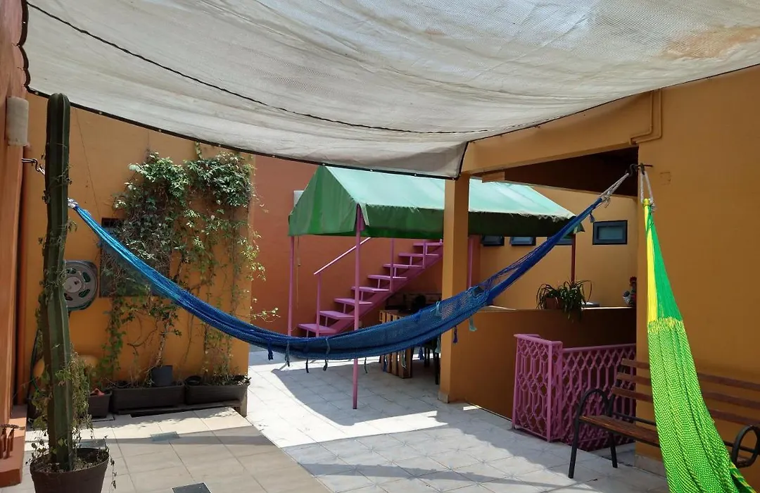 Nova House-1