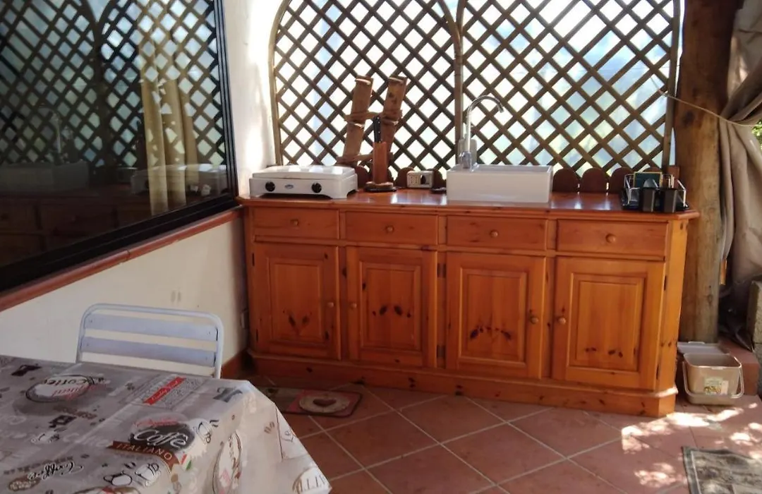 Tiny House-1