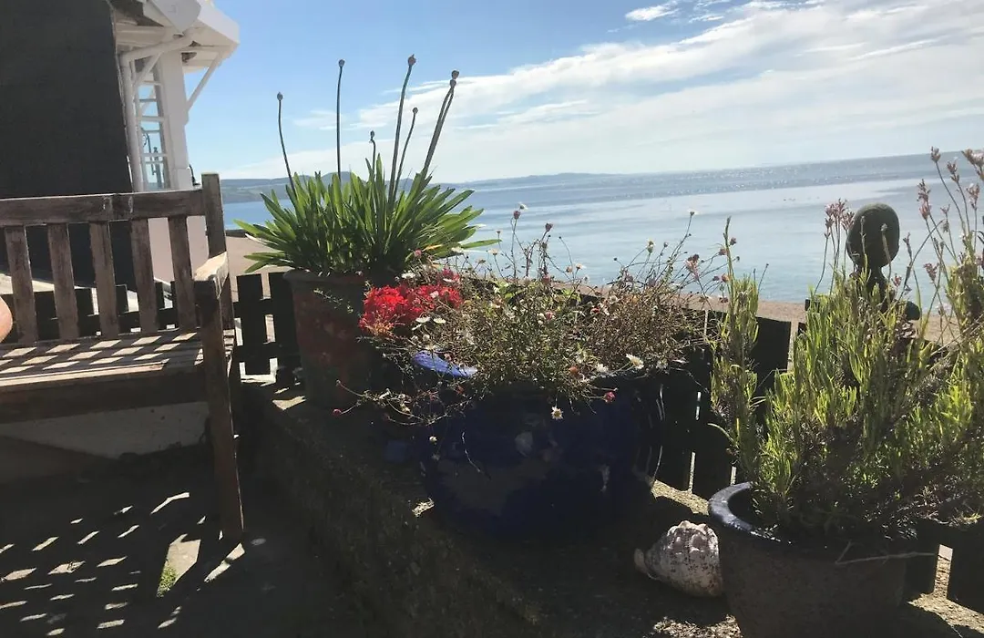 Dolphin Cottage Lyme Regis-1