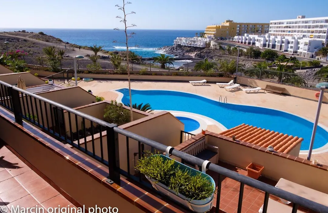 Tenerife Lizards - Duplex In The First Line-1