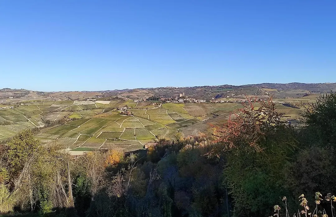 Agriturismo Bianconiglio-1