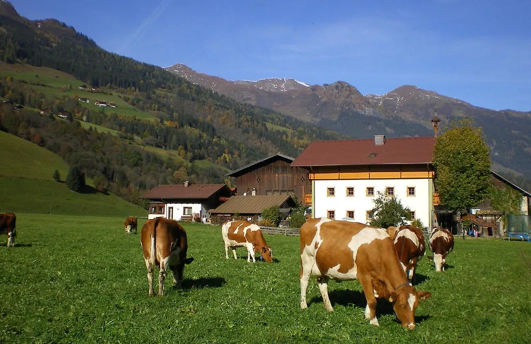 Stubnerbauer-1