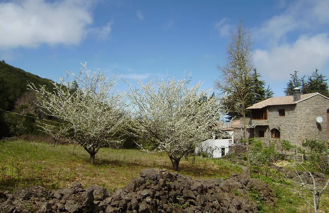 Casa Rural La Gustoza-1