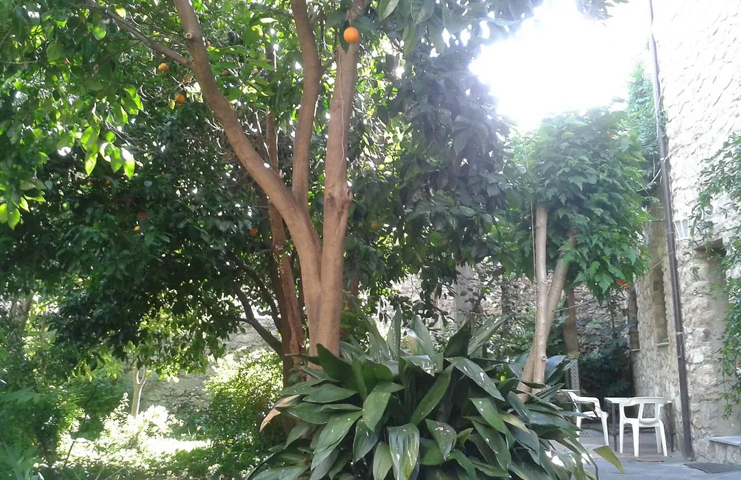 Casa Rural Corvina-1