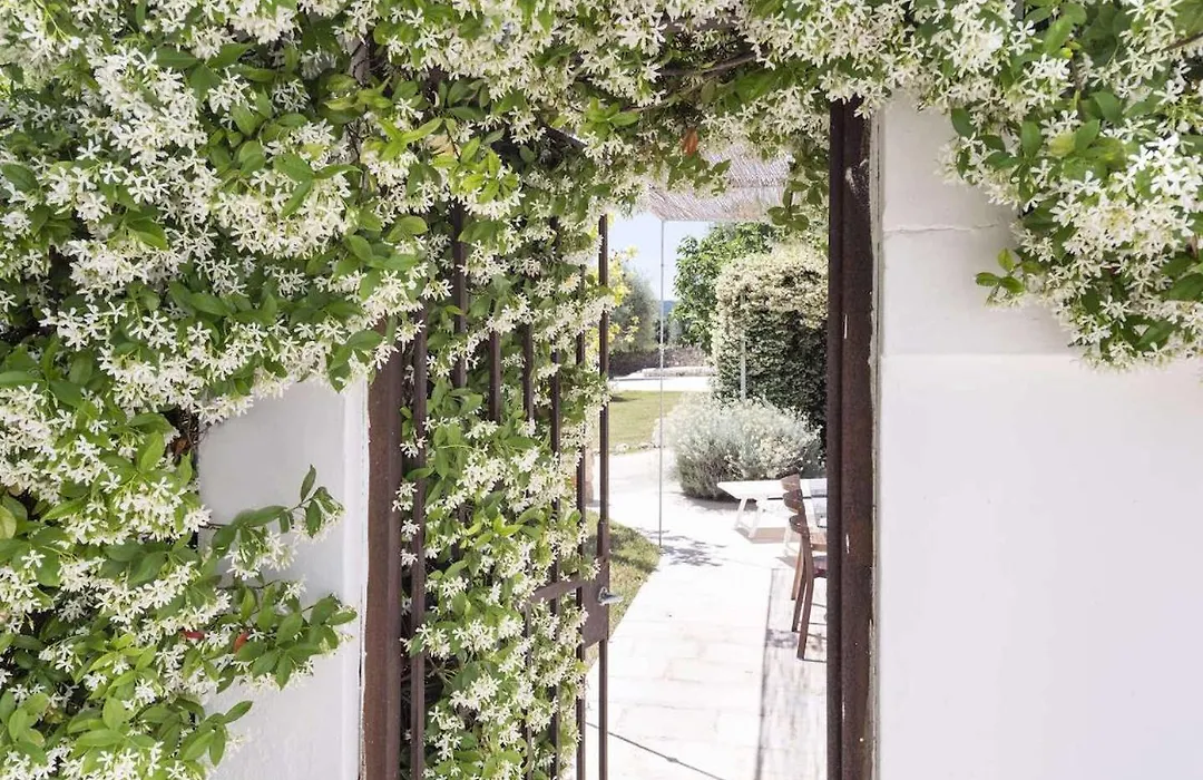 Masseria Alchimia-1