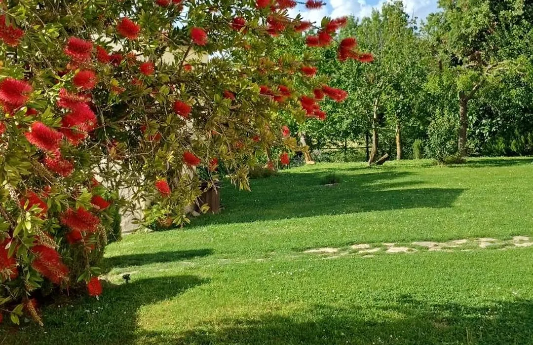 Agriturismo Colleverde Capalbio-1