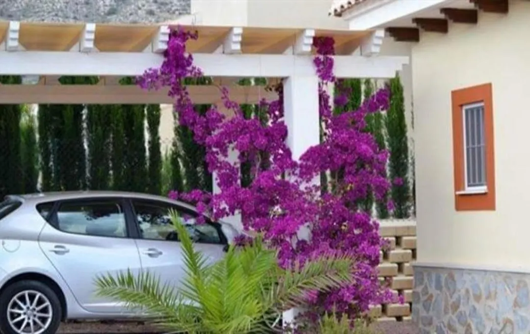 Villa Aspe-1