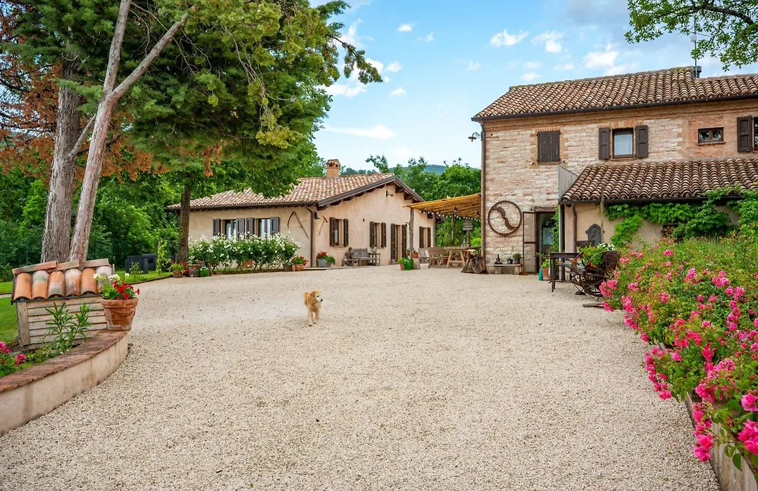 Agriturismo Il Castellaro-1