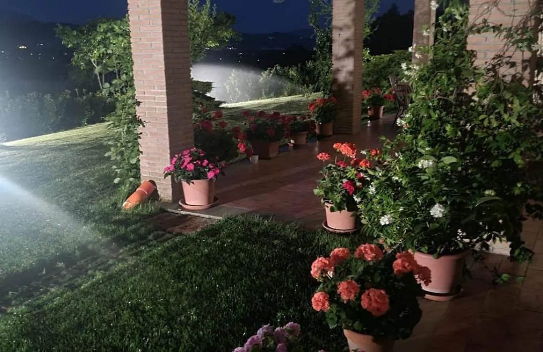 Agriturismo Tognoloni-1