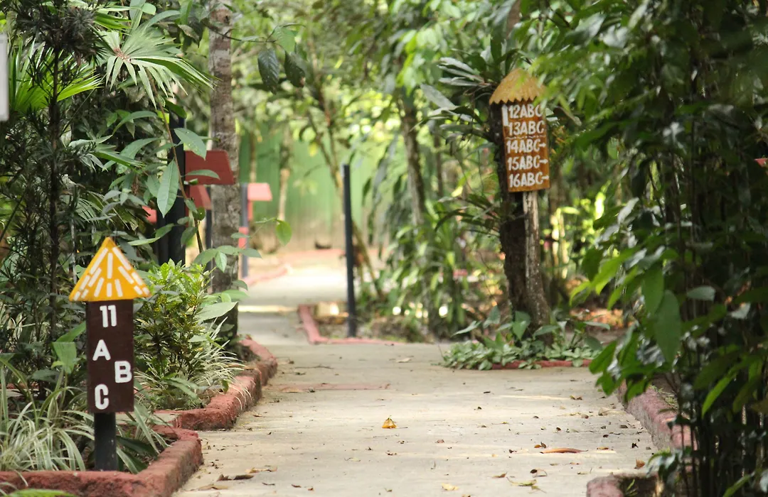 Amazon Ecopark Jungle Lodge-1