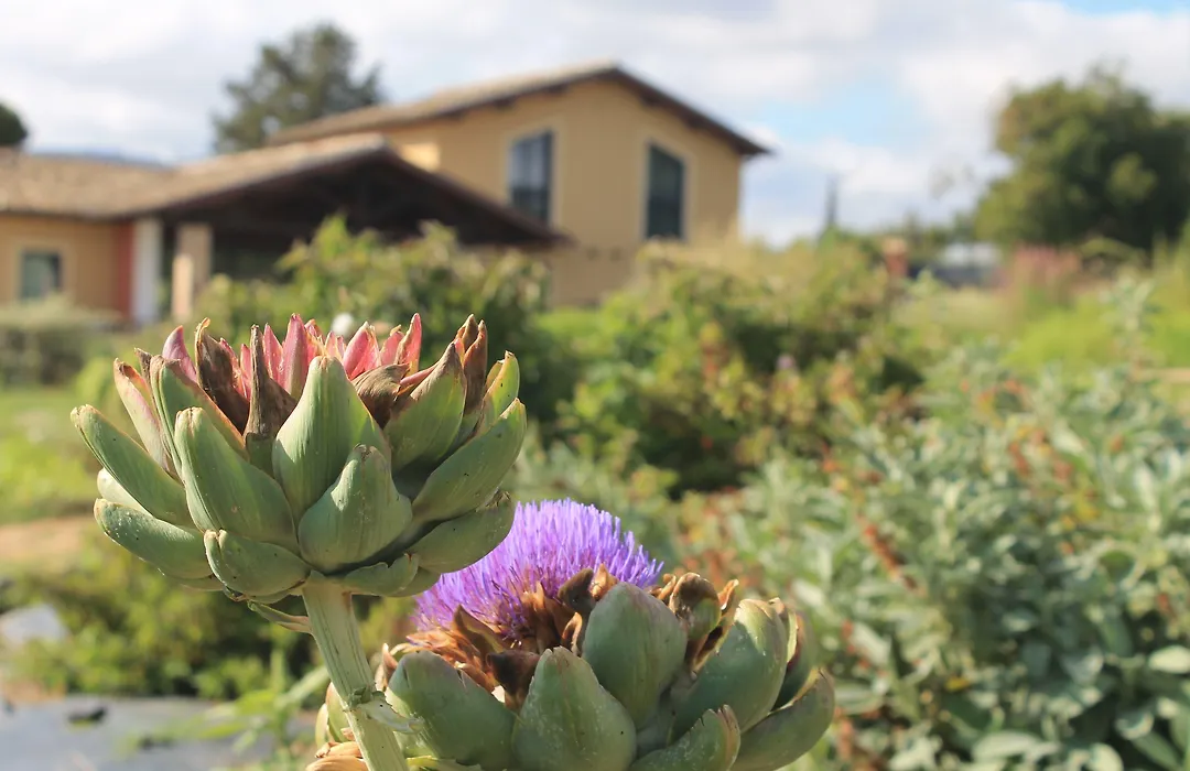 Country House Erba Regina-1
