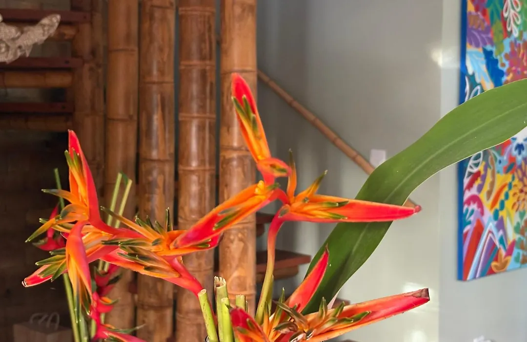 Casa Paula-1