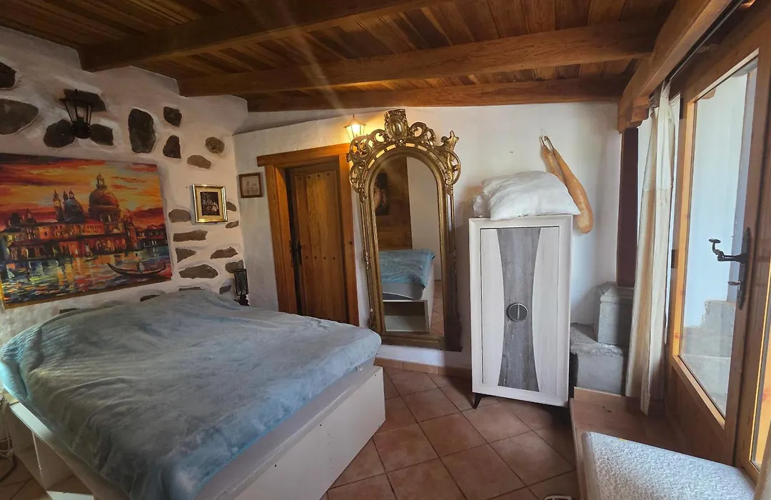 Finca OASIS Fataga-1