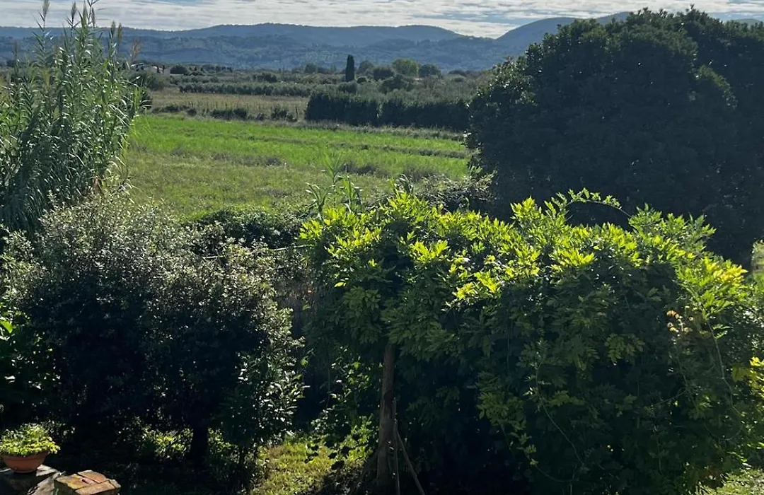 Il Bosco Agriturismo-1