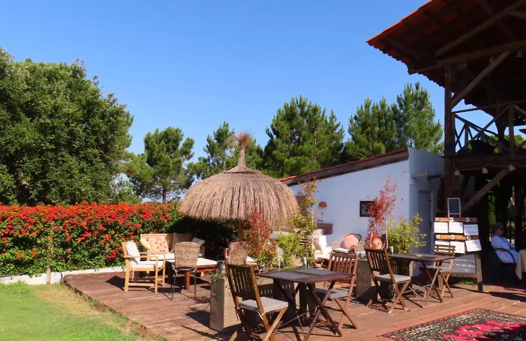 Ponte Pedra Melides -Nature & Ocean- Adults Only-1