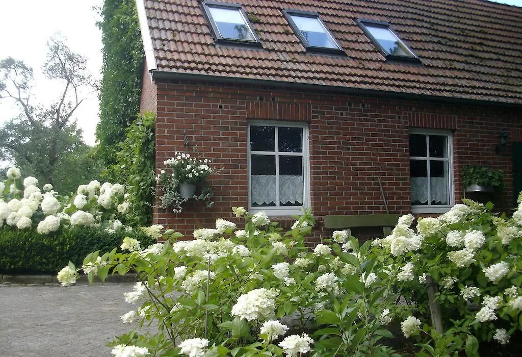B&B Annabelle-1