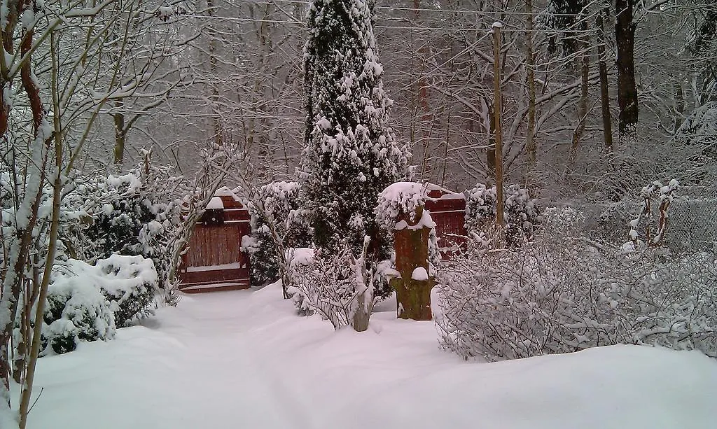 Norwegisches Holzhaus-1