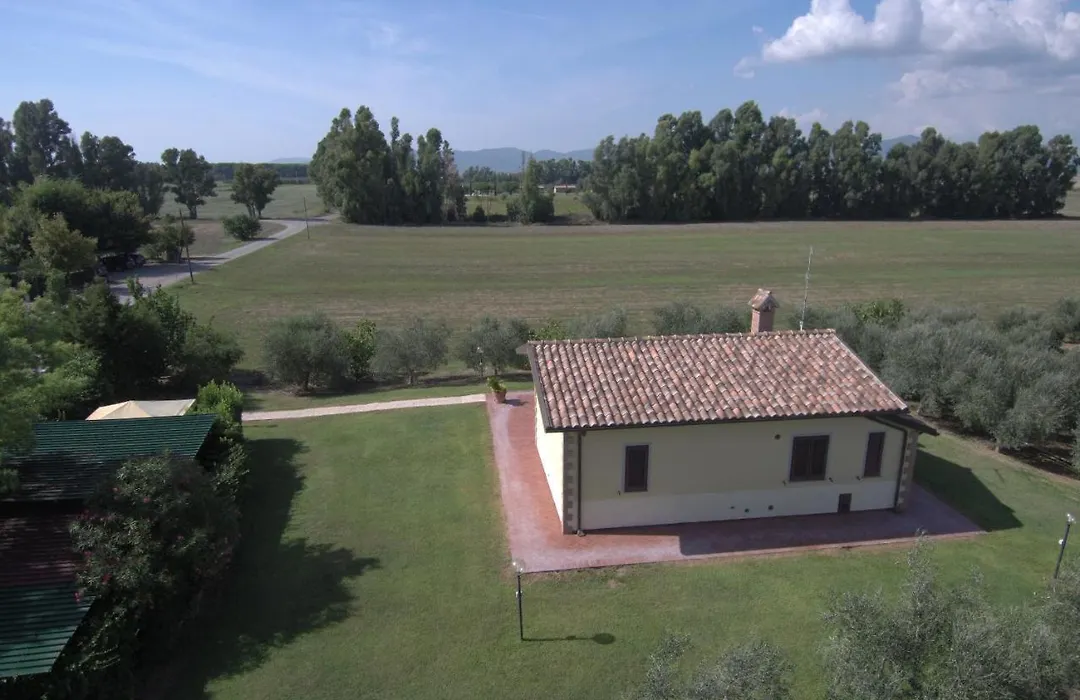 Fattoria San Vincenzo-1
