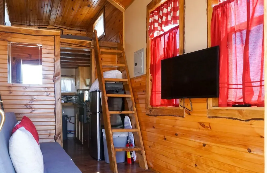 Tiny House Leadville Colorado-1