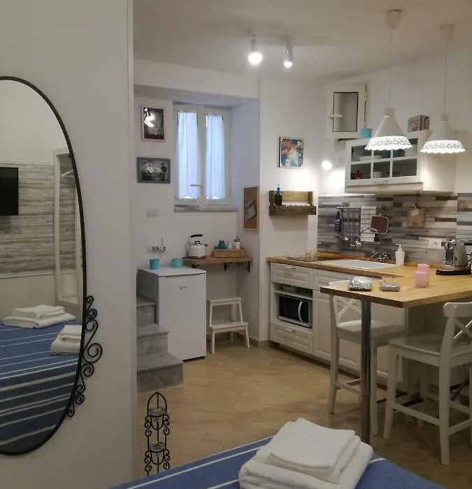 O' Vascio Chic-1