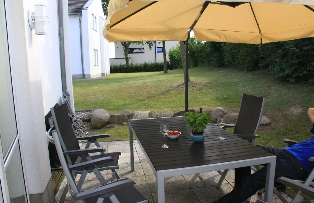 Amselstern Binz-1