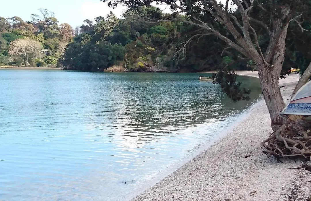 Shelly Beach Studio, Waiheke Island-1