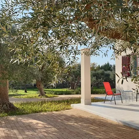 Tra gli ulivi-3