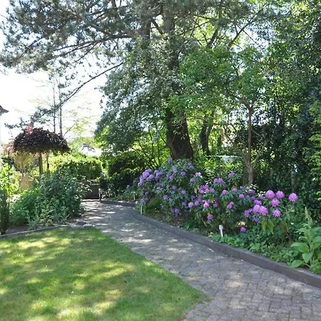 Rob'S Cottage-2