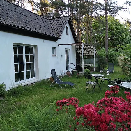 Romantisches Kleines Altes Haeuschen Im Zauberwesenwald-3