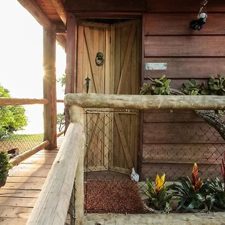 Tiny Tree House A Beira Lago-3