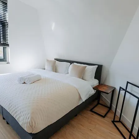 Brand New Bright & Luxurious Villa In Amsterdam!-2