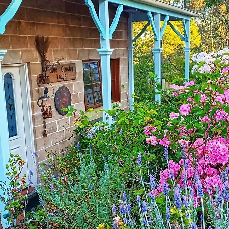 Blue Country Lodge-2