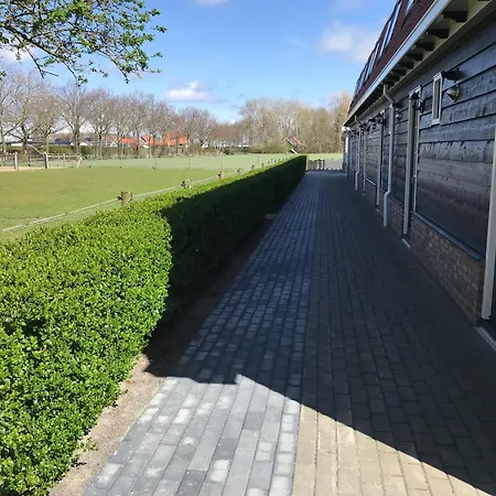 Vakantiewoningen de Schelp-2