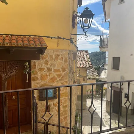 Casa Artista-3