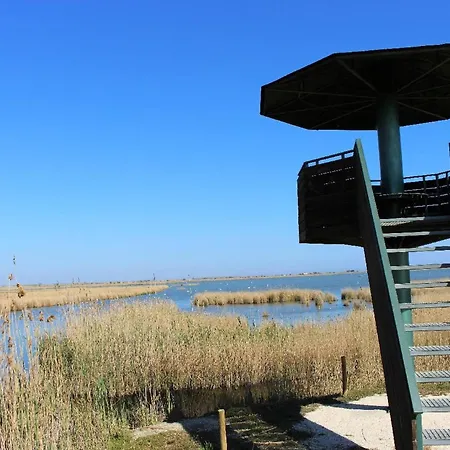 Quet - Casa rural con piscina privada en el Delta del Ebro - Deltavacaciones-2