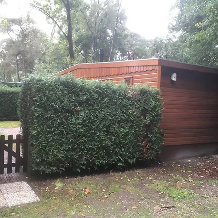 Cedar Cottage Veluwe-3