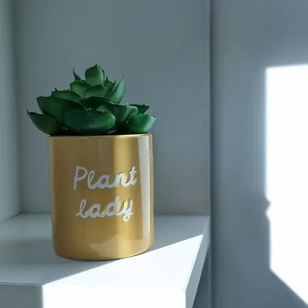 Spacious Modern 3 Bedroom House In Harborne-2