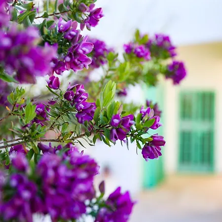 Villa Mina-2