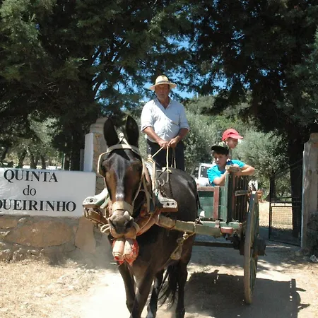 Quinta Do Vaqueirinho - Agro-Turismo-3