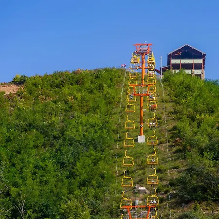 Lazy Bear Lodge, Hot Tub, Resort Pool, Wifi, 1089 Free Tickets Each Paid Day, Dollywood And More-2