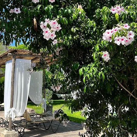 B&B Casina Montana-3
