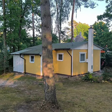 Ferienhaus Am Dünenwald-2