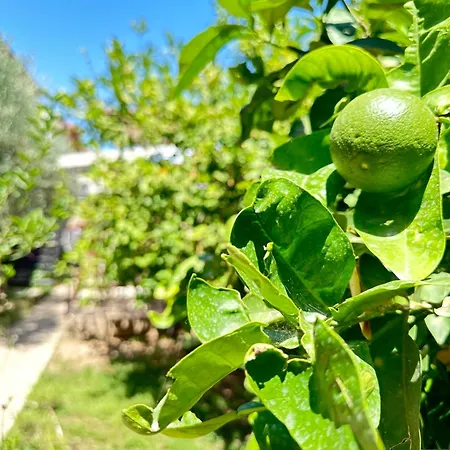 Kaleici Aparts Antalya-3